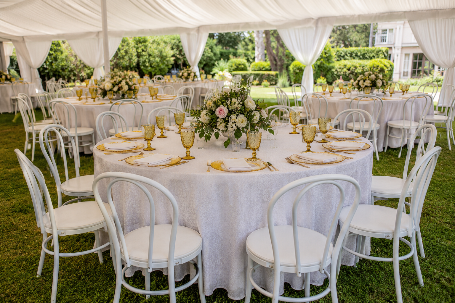 Bentwood chair hire Nairobi luxury wedding seating