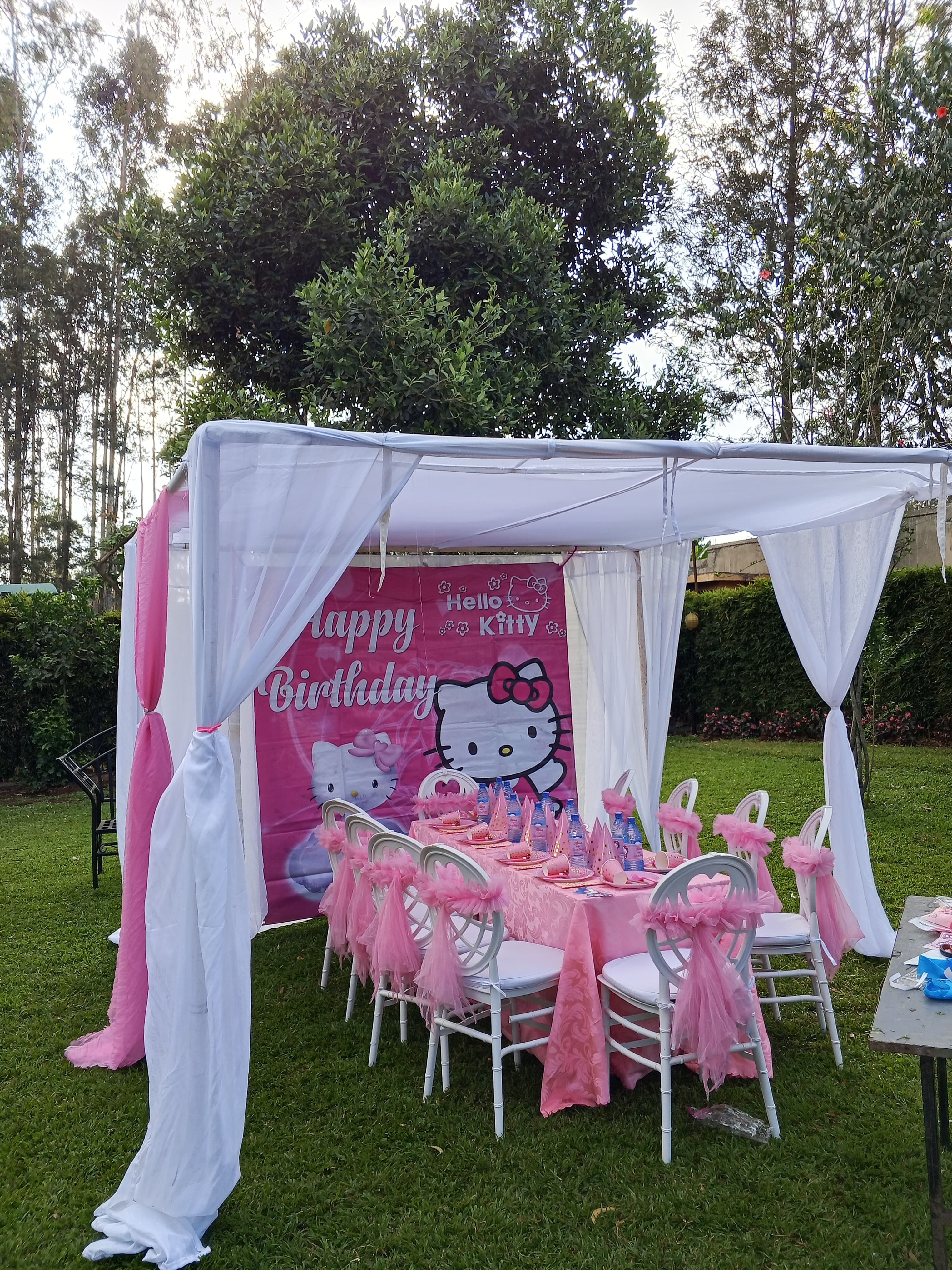 Canopy Tent 3×3m