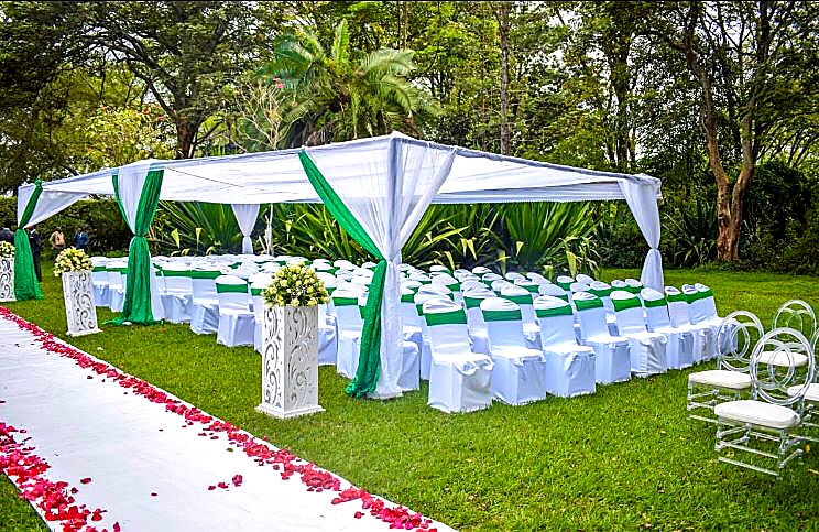 Canopy Tent 6×12m