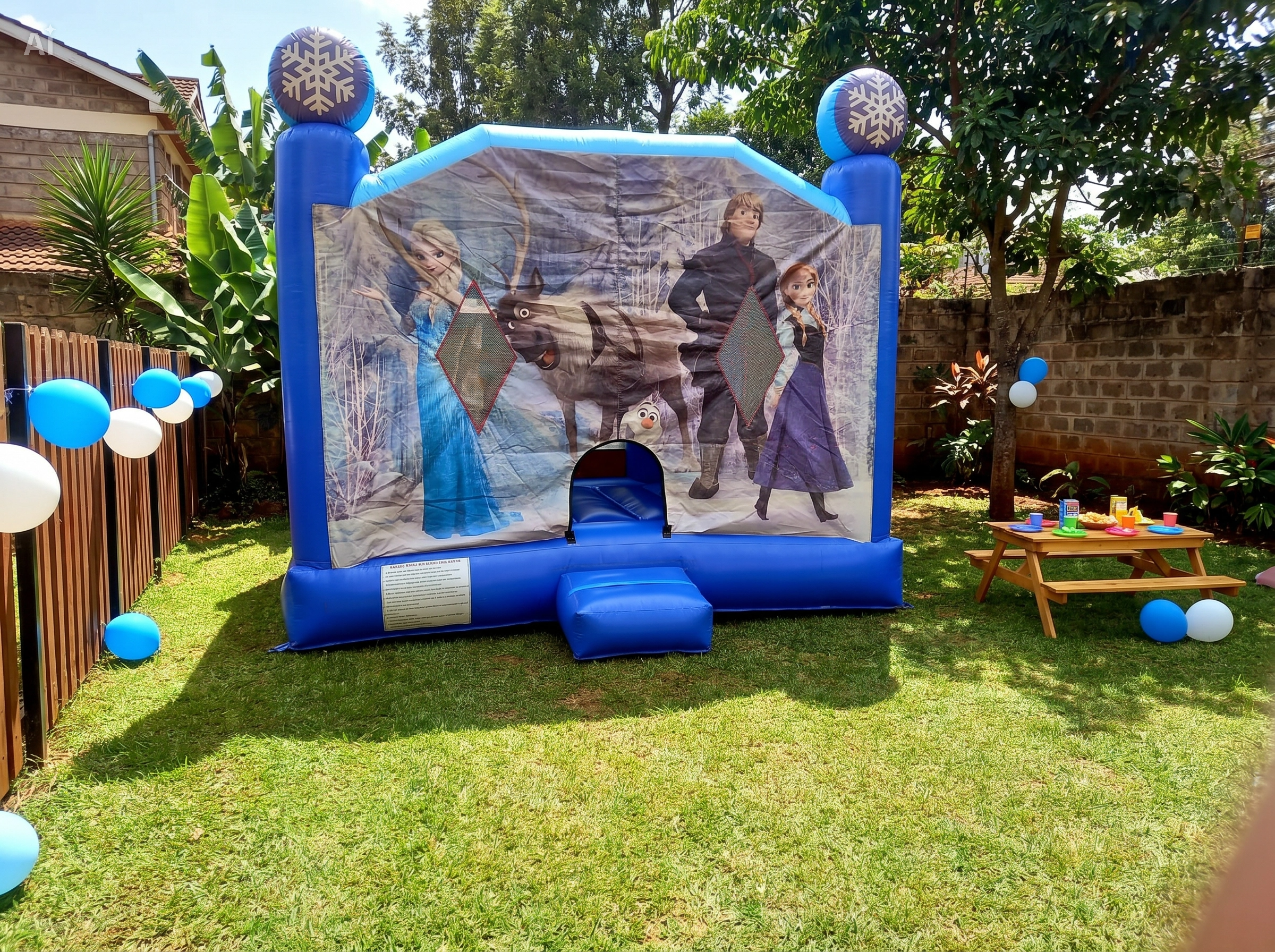 Ice princess themed bouncing castle set up at Nairobi backyard birthday party