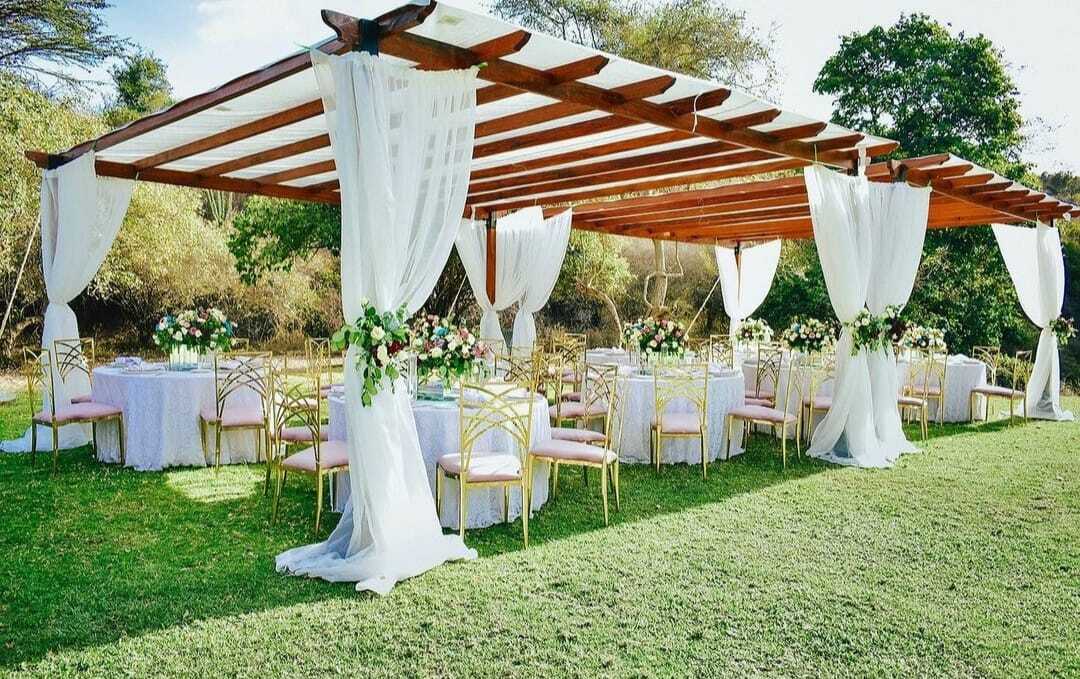 Pagola Tent 6×6m