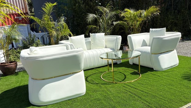 White & Gold Striped Butterfly Lounge Collection