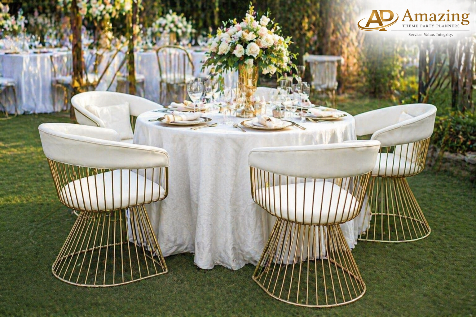 White/Gold Wire Back Seats