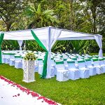 Canopy Tent 6x12m