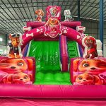 Skye Paw Patrol Bouncing Castle