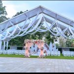 The Starling 50 — 50 Guests